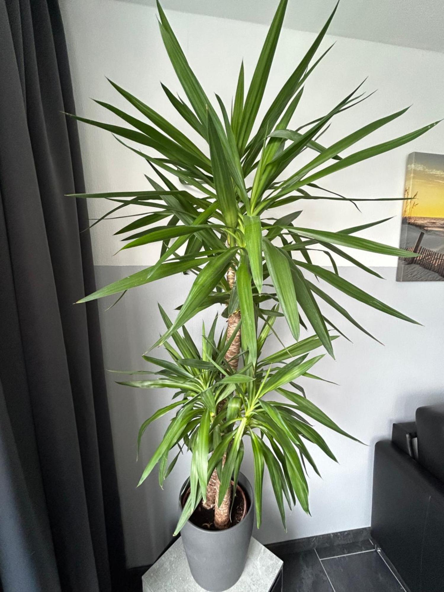 קושהאבן Frische Brise Ferienwohnung Mit Meerblick מראה חיצוני תמונה